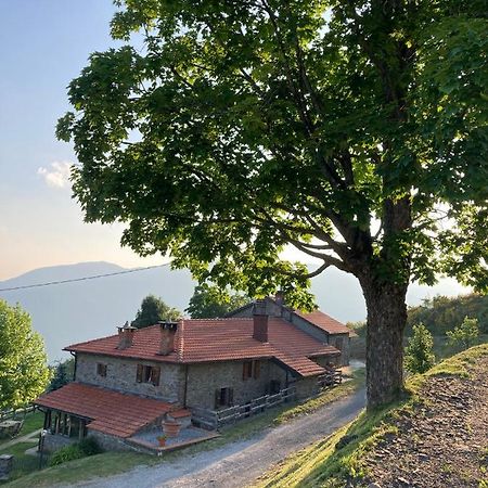 Casa Sperandini Konuk evi San Marcello Pistoiese Dış mekan fotoğraf