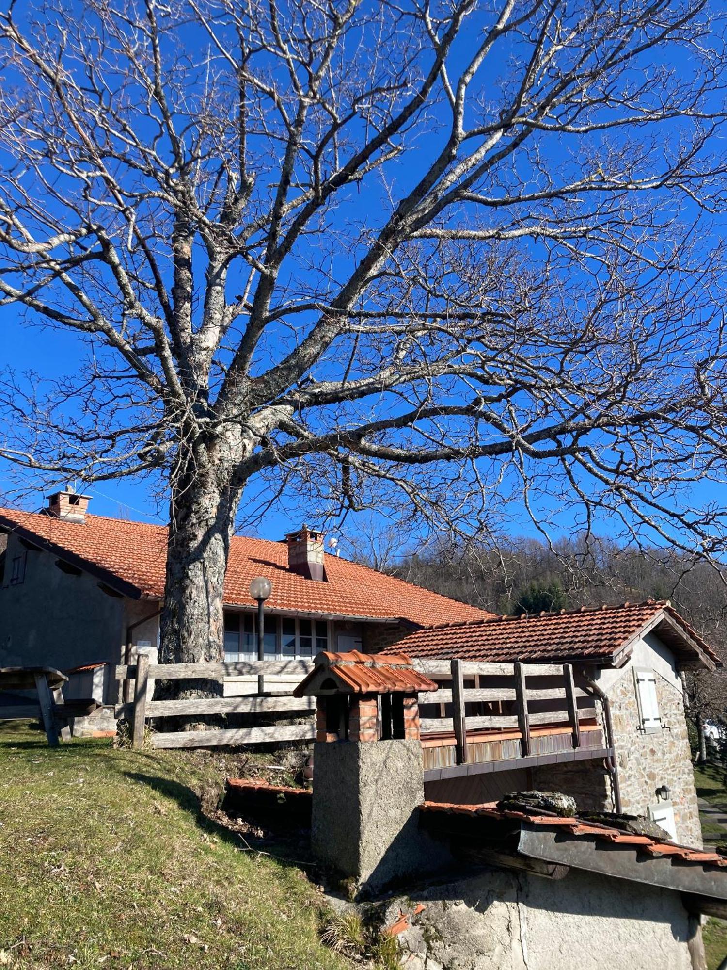 Casa Sperandini Konuk evi San Marcello Pistoiese Dış mekan fotoğraf